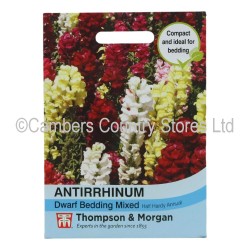 Thompson & Morgan Antirrhinum Dwarf Mixed